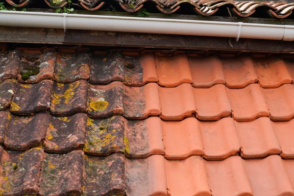 Industrial Roof Cleaning in Tarpon Springs